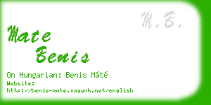 mate benis business card